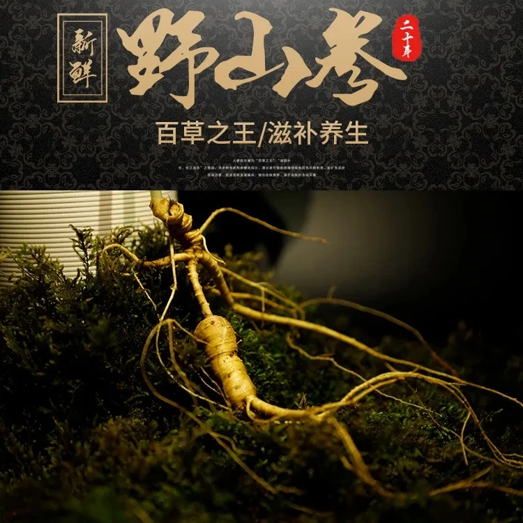 长白山山参无人工干预坏单包赔清洗后不支持退款退货泡酒煲汤煮茶
