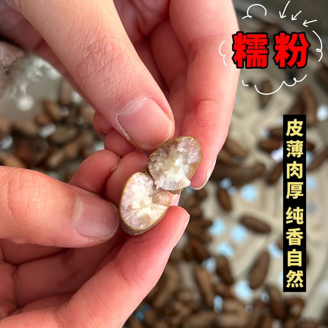 新鲜正宗铁棍山药豆 减脂山药豆 原产地直销