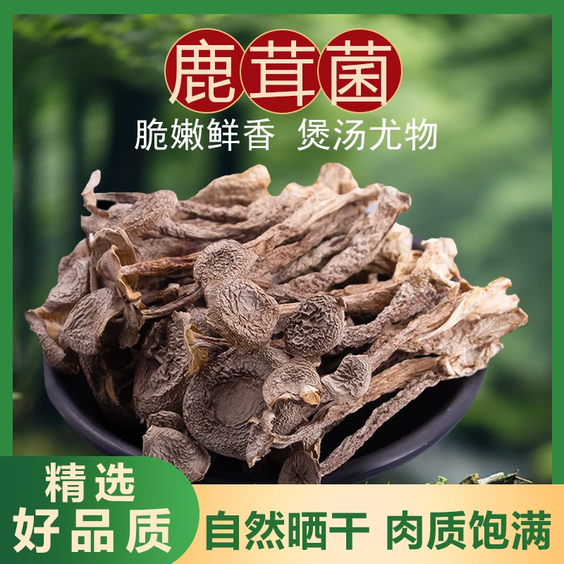 【达人专属】 头茬鹿茸菇干货自然生长手工甄选肉质饱满煲汤佳品