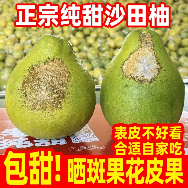 【晒斑果花皮果】广西正宗容县沙田柚子新鲜水果白心纯甜现摘当季