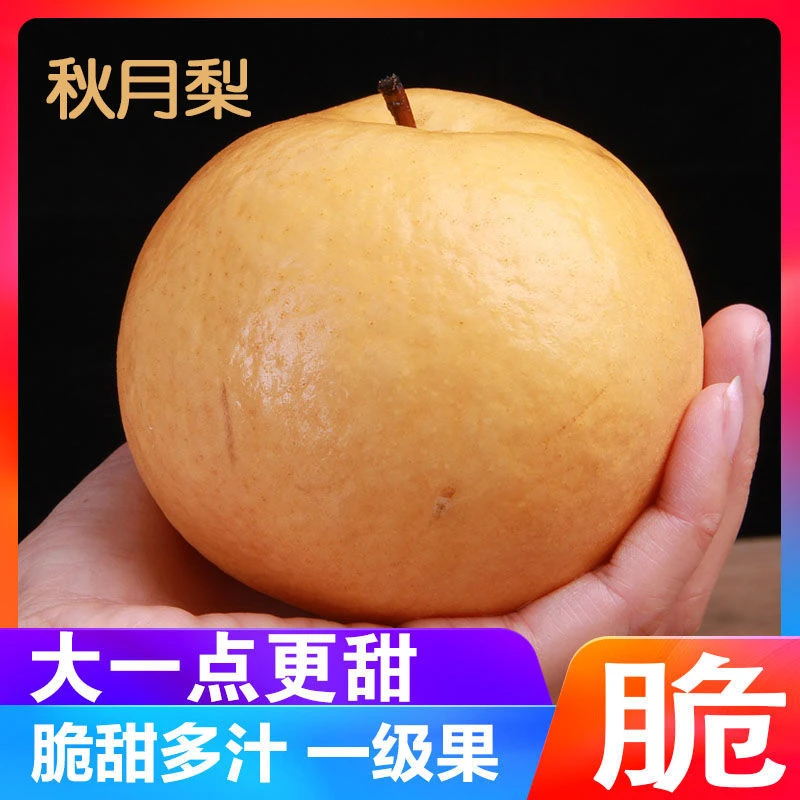【爆甜】新鲜秋月梨香甜榨汁包邮整箱新鲜水果梨子当季雪梨非砀山梨