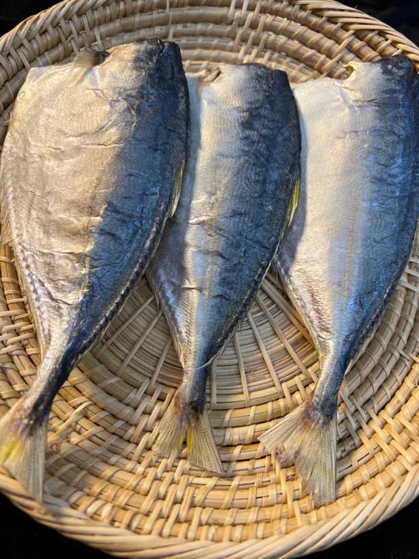 广海虾池鱼干 开肚无头咸鱼干 500克