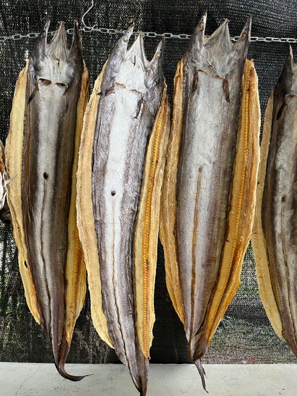 大条开片鳝干 淡干  （4-6条一斤）