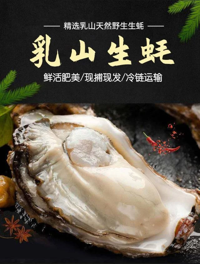 【鲜活】3+乳山生蚝/只