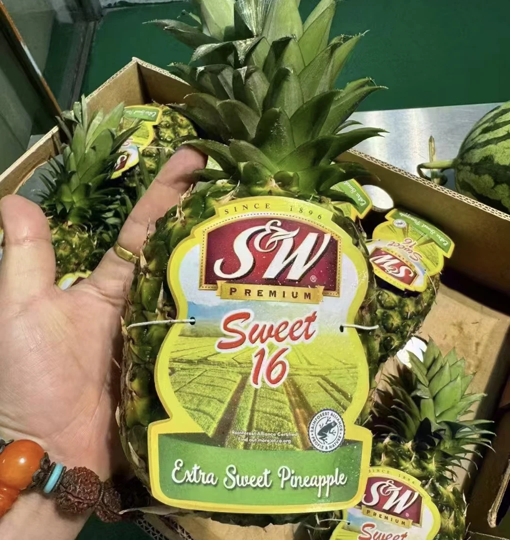 SW菲律宾凤梨1颗