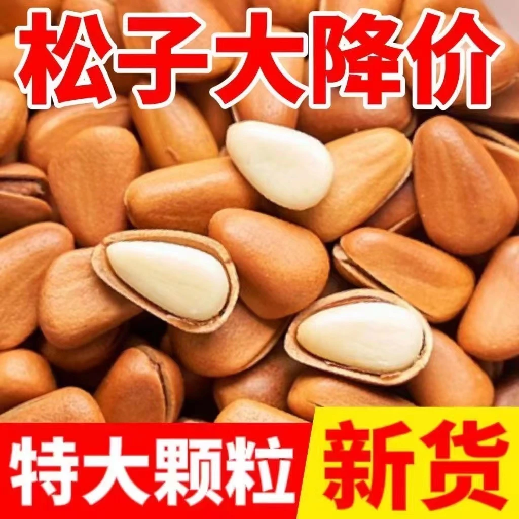 【全网底价】23年特级东北开口松子罐装大颗粒原味坚果解馋零食批发