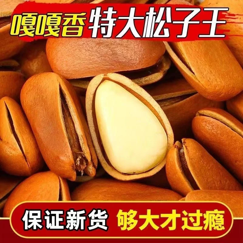【松香酥脆！29.9发1斤】东北开口松子大颗粒罐装原味坚果解馋零食