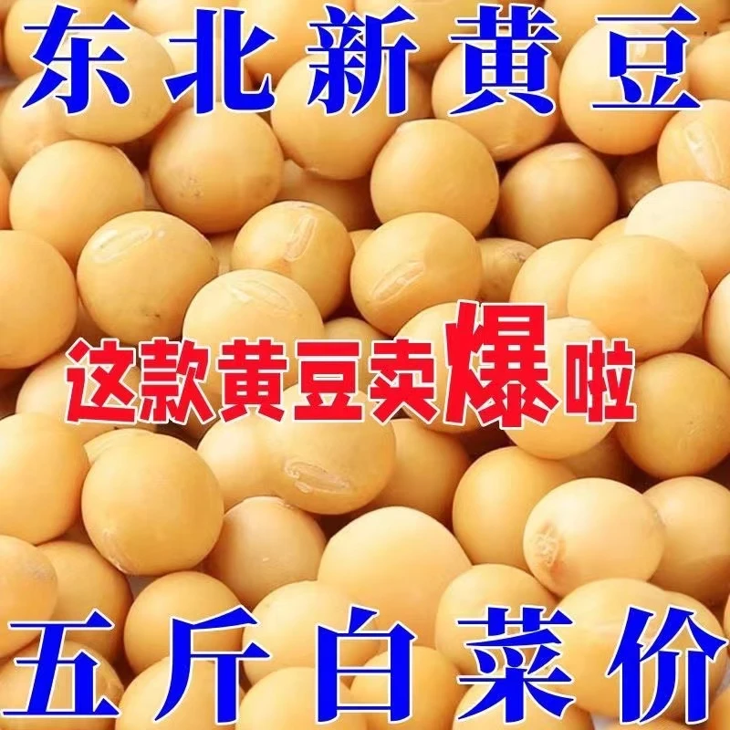 【比批发还便宜】5斤新黄豆非转基因大豆打豆浆新鲜生豆芽10g
