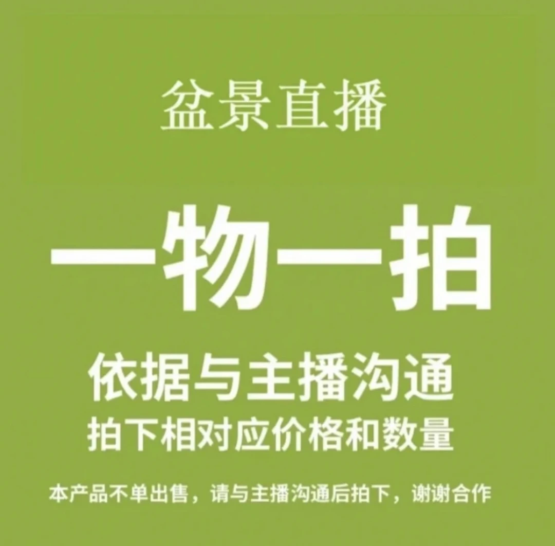 原生老桩梅花盆景60-880（直播间一物一拍）