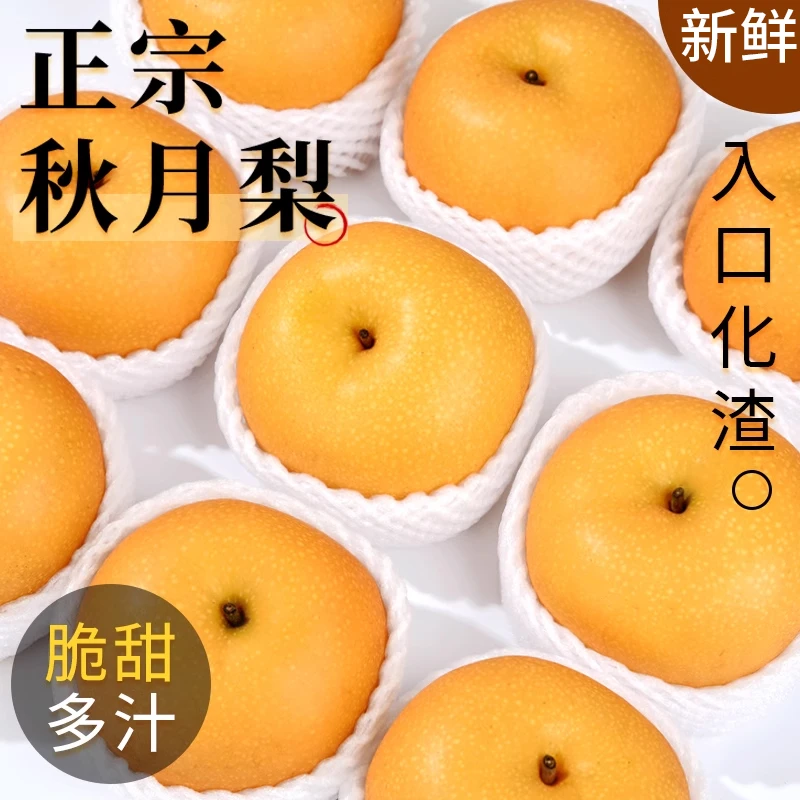 山东莱阳秋月梨果王当季正宗梨子雪梨时令新鲜水果整箱库尔砀山梨