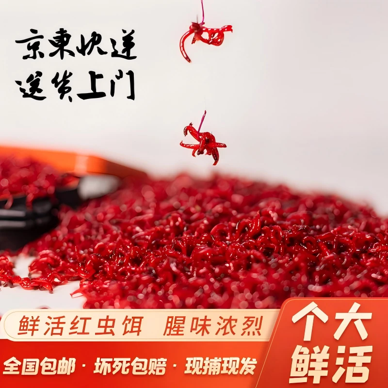 【京东特快】鲜活红虫！死虫包赔！可保存7-15天 全国1-2天到货！-壹
