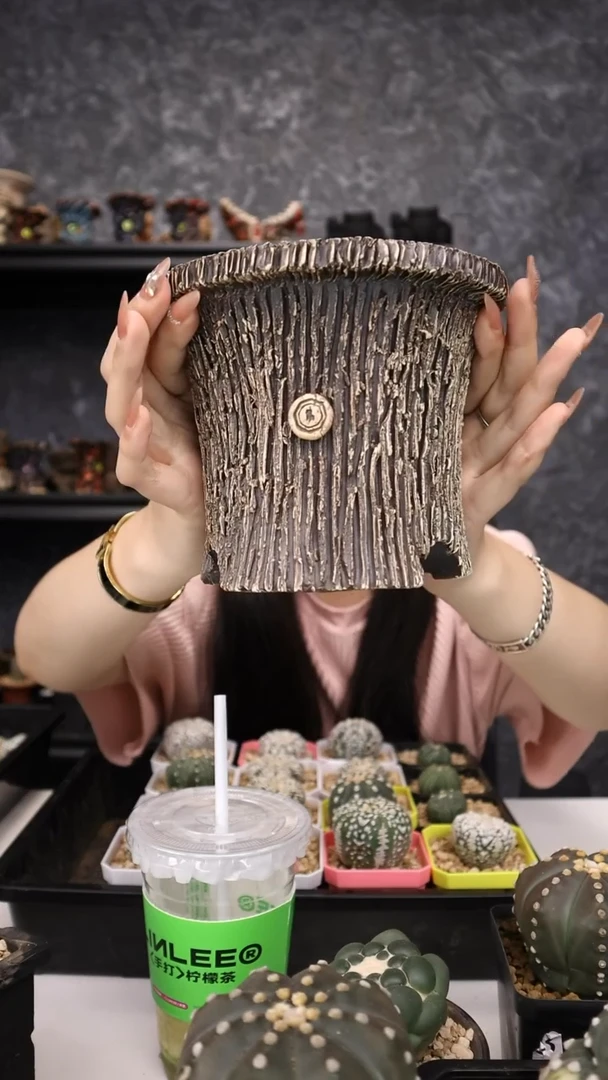 【闪购商品】盆盆盆