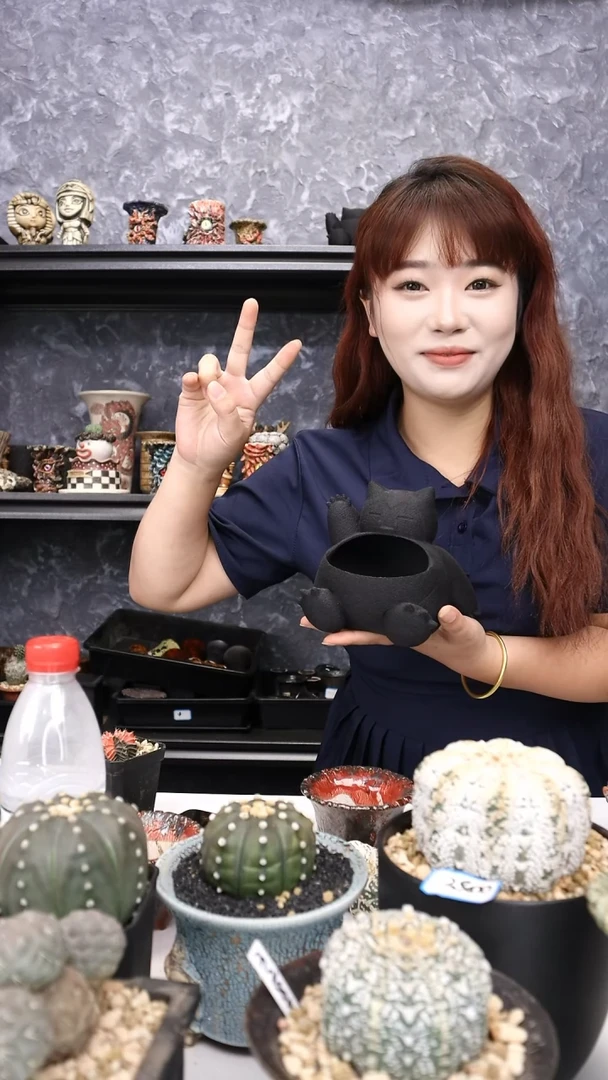 【闪购商品】盆盆盆