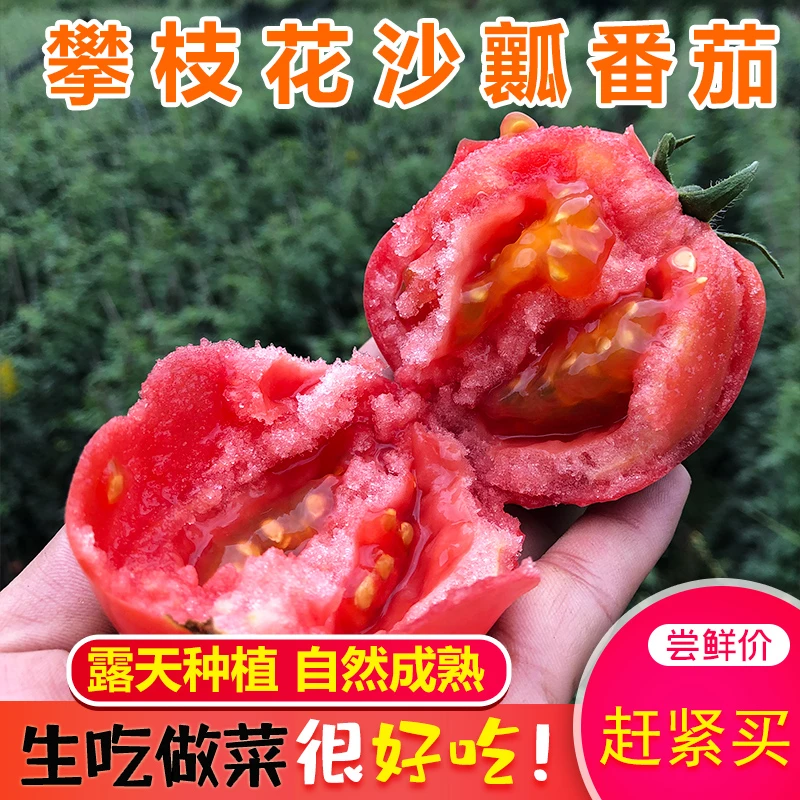 四川攀枝花露天沙瓤西红柿老品种3/5/9包邮