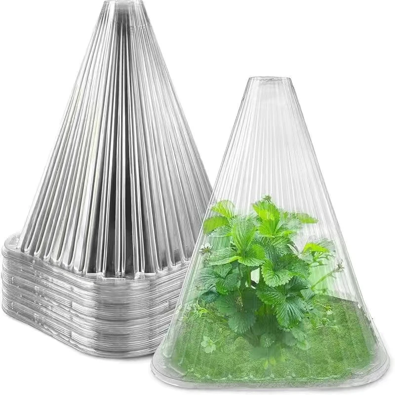 防晒育苗保护罩菜苗防冻罩塑料保温罩种菜种植蔬菜防虫罩