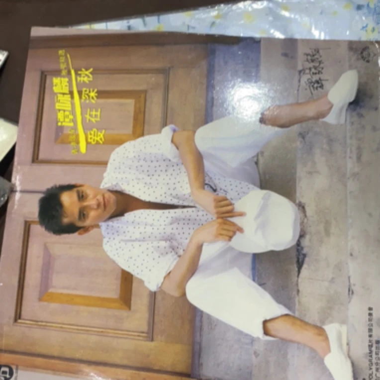 9新  tyl黑胶唱片