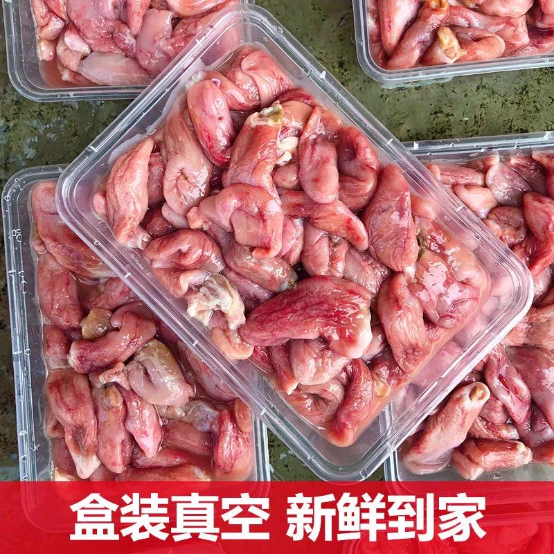 石斑鱼胶品质红斑青斑鱼鳔手工食材冰鲜鱼泡石斑鱼胶爽口鱼扣