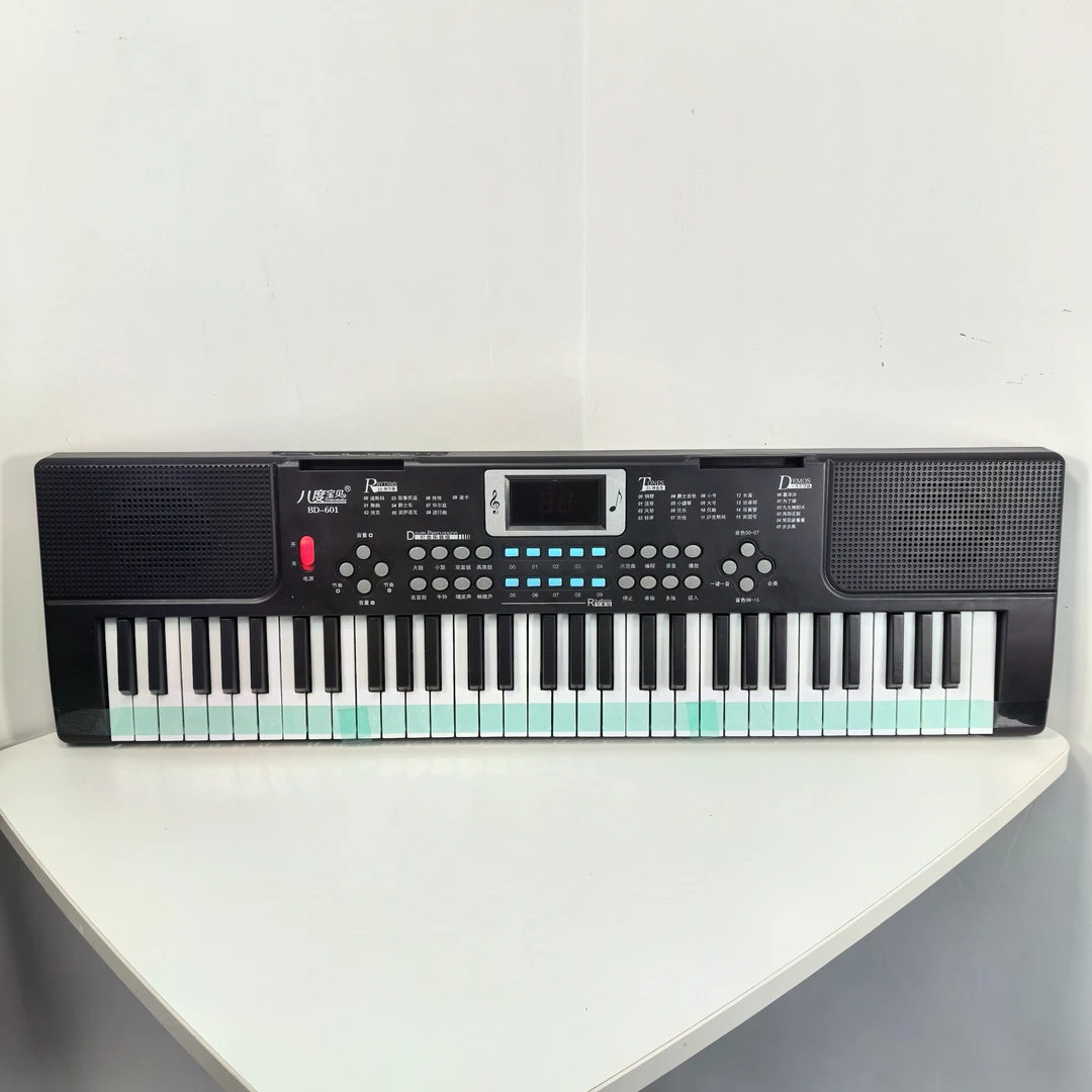 61键琴老人电子琴成人专用专业演奏初学者数字灯光幼师
