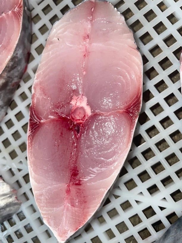 汕尾本港船马鲛鱼 纯肉马鲛切片