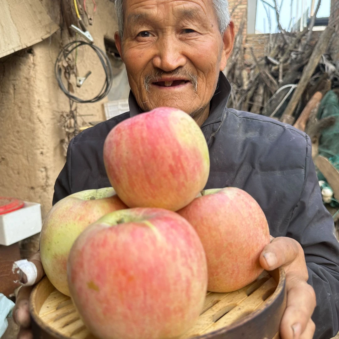 河南灵宝高山红富士苹果