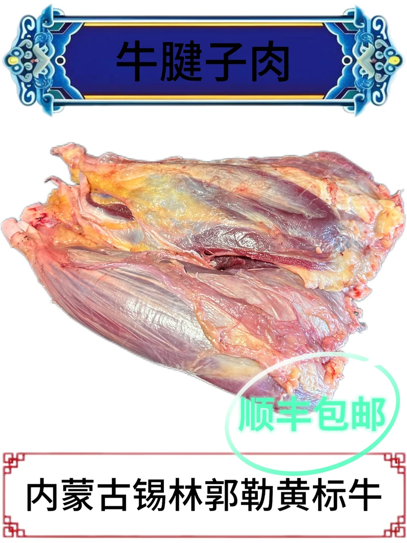 牛腱子内蒙古锡林郭勒草原溜达牛