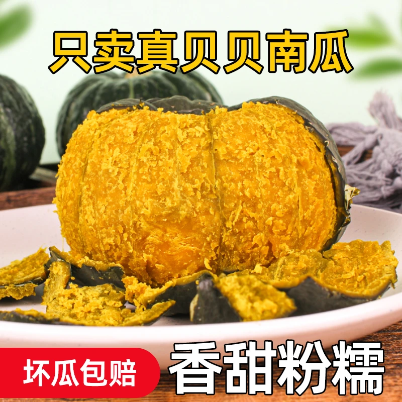 沙地贝贝南瓜营养栗香板栗自然健康香甜粉糯肉厚宝宝辅食孕妇早餐