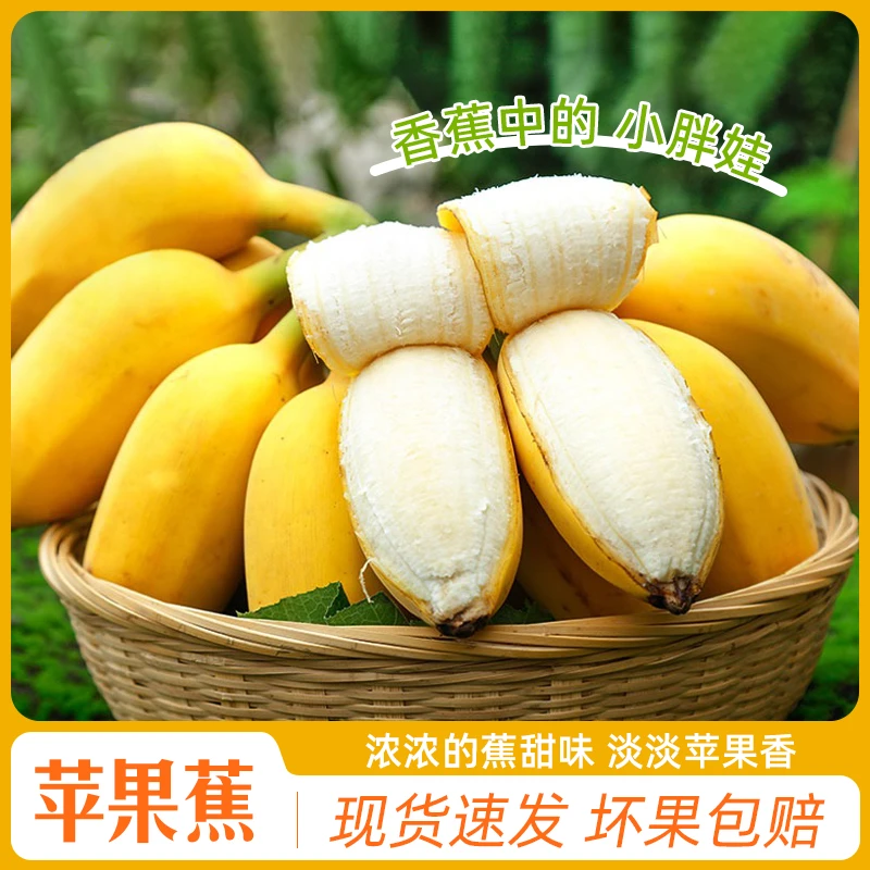 【催熟食用】正宗发货高山新鲜饱满苹果蕉产地直发应季新鲜好吃水果