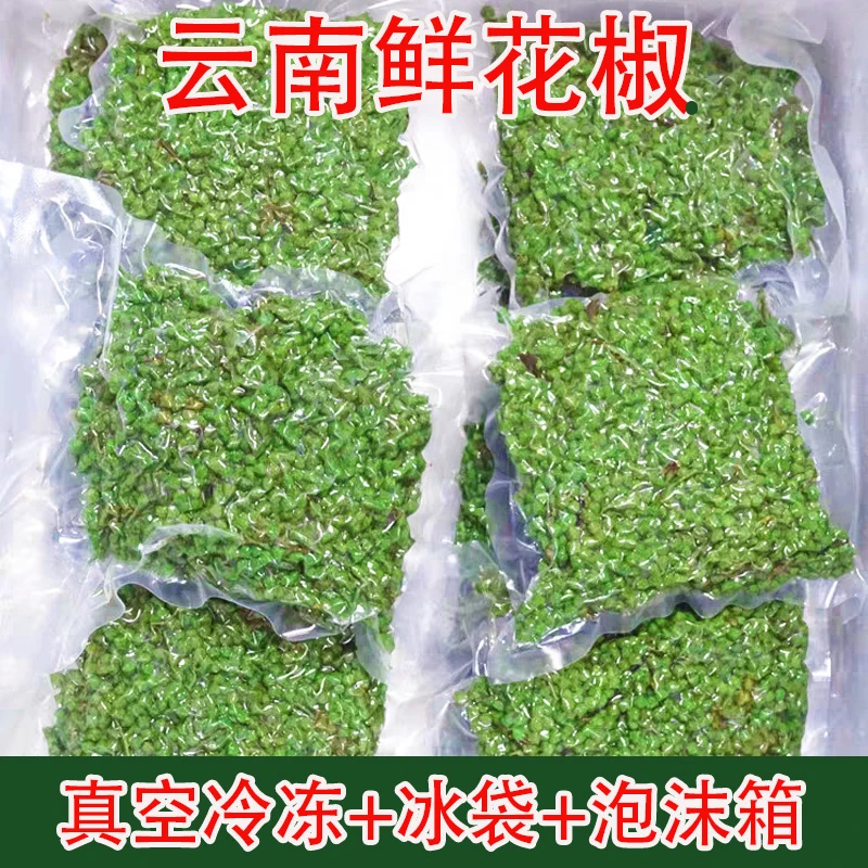 云南鲜花椒青麻椒昭通冷冻真空包装生花椒泡坛子炼油家用商用藤椒