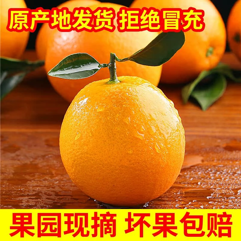 【马克同学】4.5/9斤装江西正宗赣南脐橙现摘薄皮当季新鲜甜橙整箱