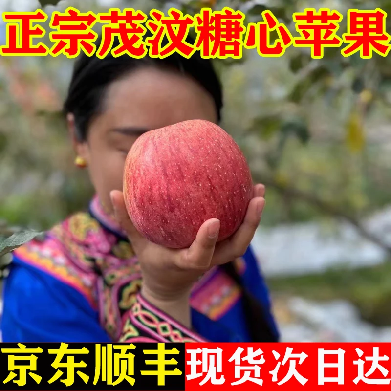 阿坝州小王子汶川糖心苹果茂县冰糖心九寨沟小金5斤10斤理县