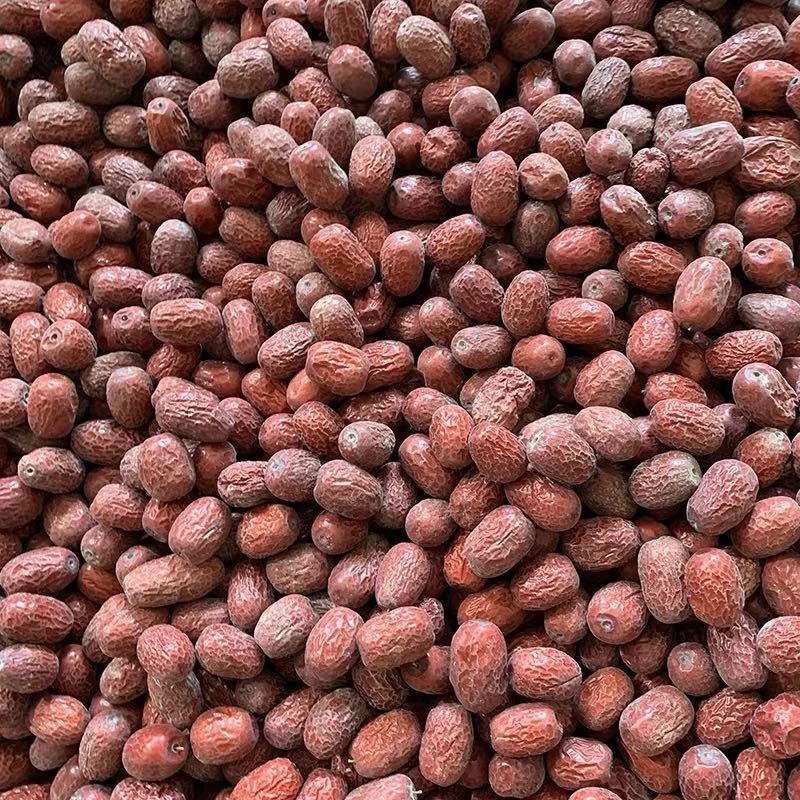 2024年新枣 原生态未清洗灰枣 正宗新疆和田灰枣  灰枣