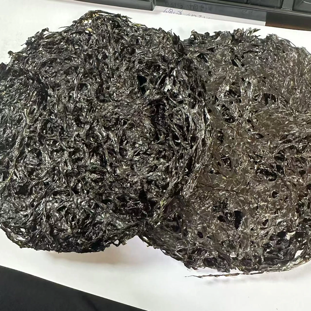 优选新紫菜 特产