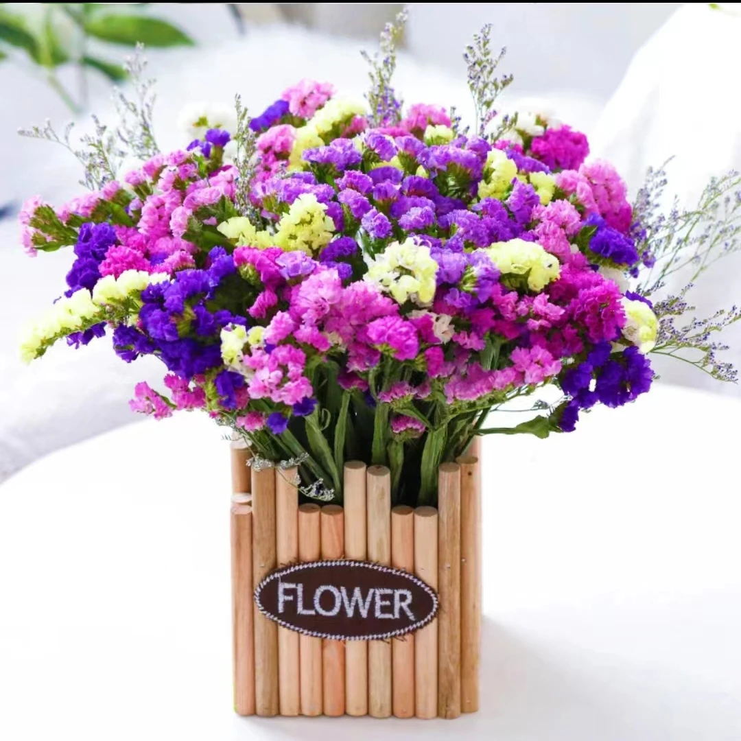 【送花篮】云南勿忘我干花花束鲜花半干发货混搭色云南基地直发