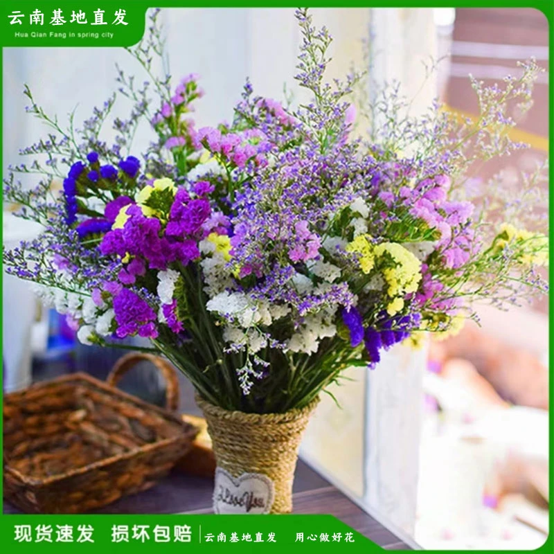 【云南基地直发】勿忘我半干花真花鲜花发货做成干花可以放1年以上