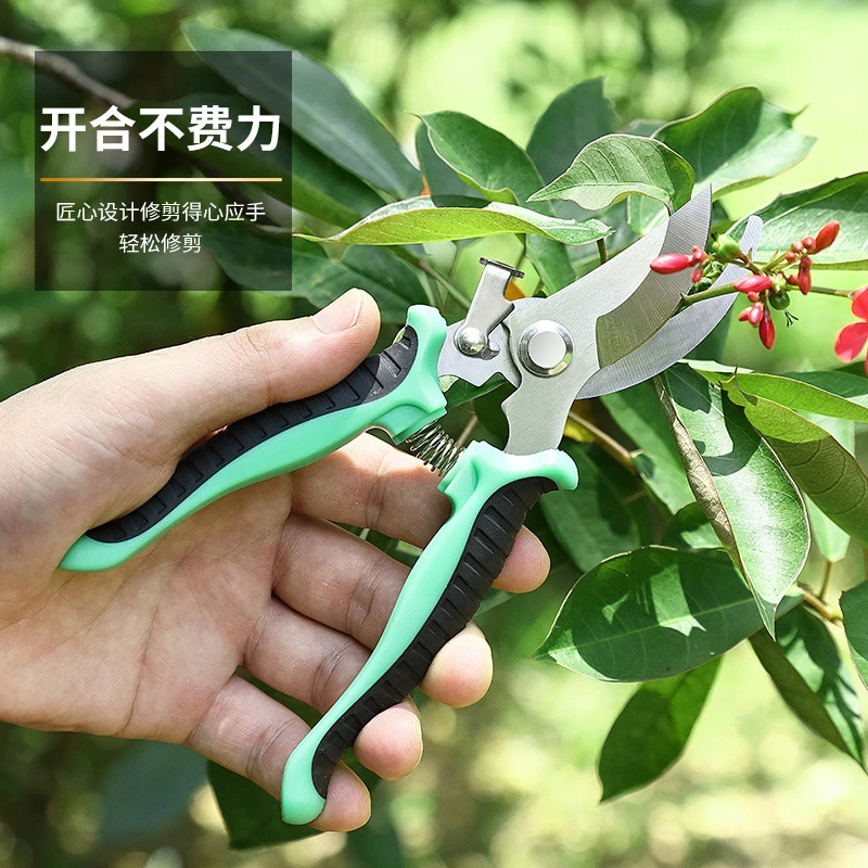 不锈钢树枝剪修枝剪园艺剪刀果园花艺摘果剪园林树枝工具剪花艺剪