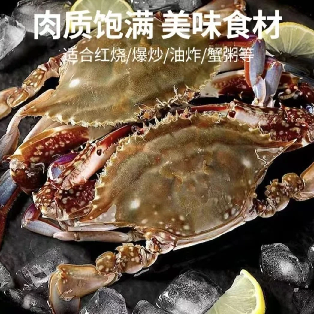 鲜活新鲜连云港梭子蟹母蟹2斤单只6/4两【冻蟹】