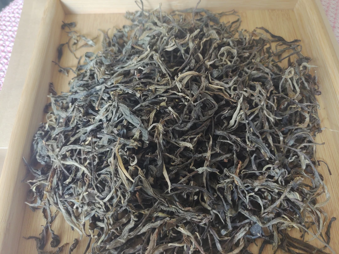 2023中树生茶春茶