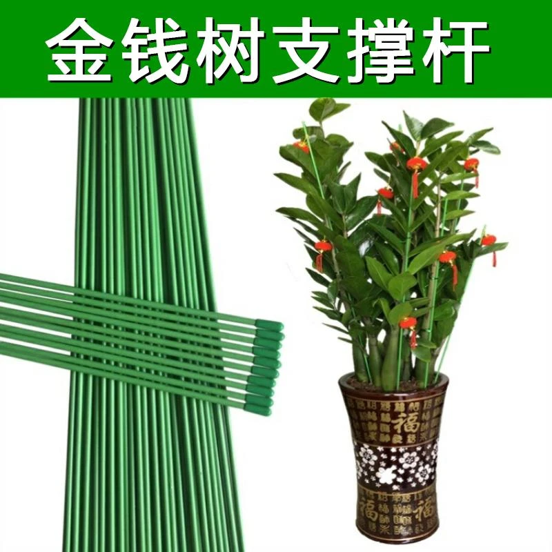 金钱树支撑杆园艺花卉植物盆栽阳台花盆支架蝴蝶兰月季花架爬藤架