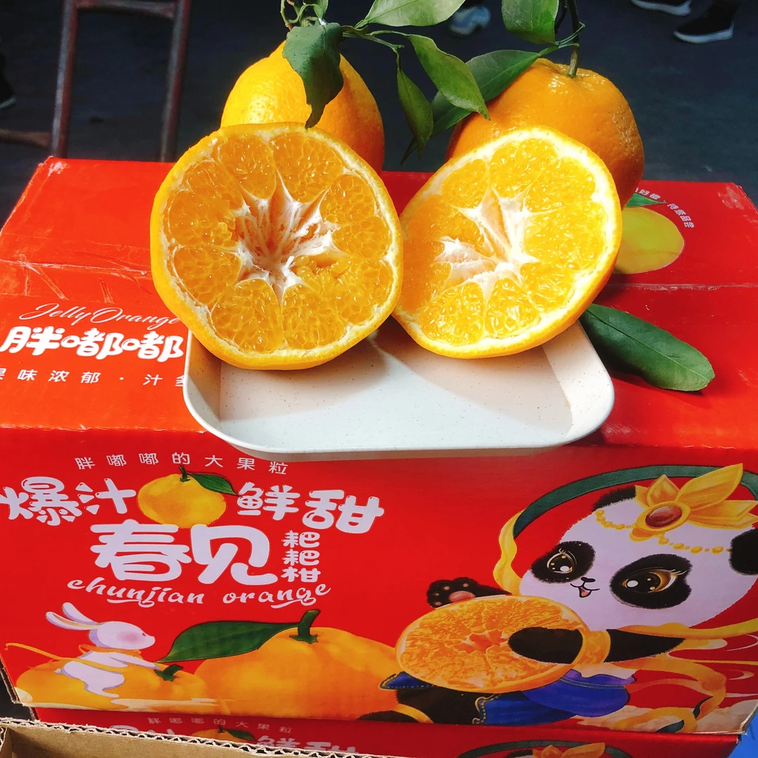粑粑柑 5斤装 70型号果