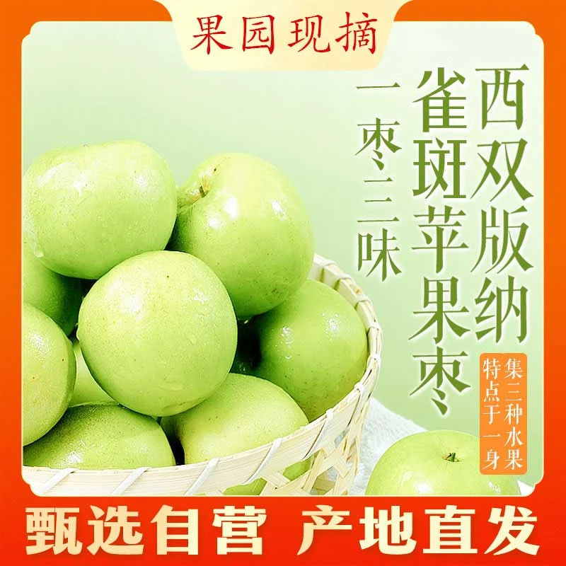 果园自营 | 精选西双版纳苹果枣精选果家庭装果王礼盒装 坏果包赔