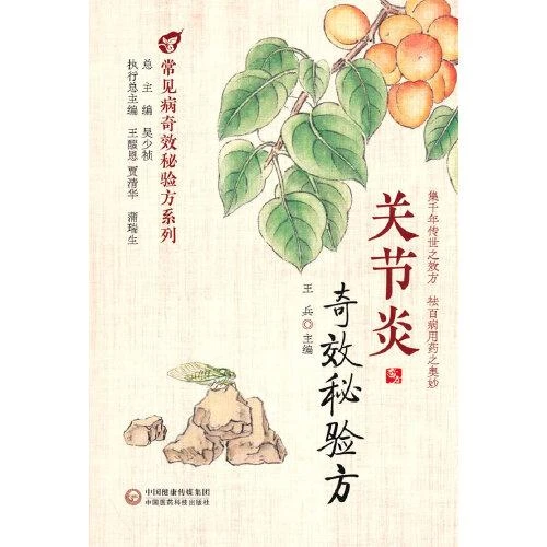 关节炎奇效秘验方 9787521426021 中国医药科技出版社