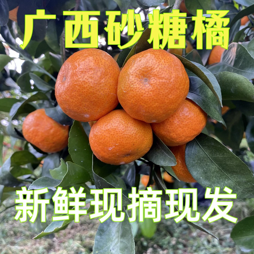 《开园福利》4.9元2斤正宗砂糖橘广西水果新鲜