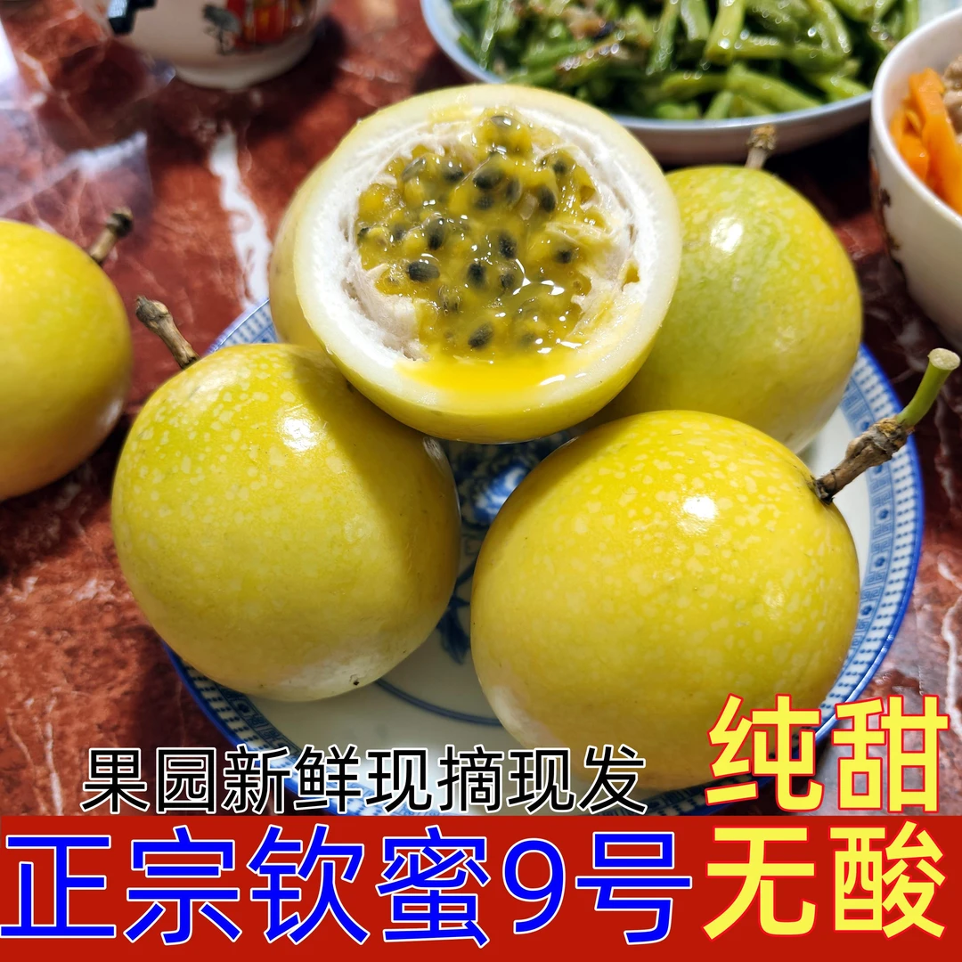 广西正宗钦蜜9号鲜果百香果新鲜摘香甜多汁树上成熟产地直发