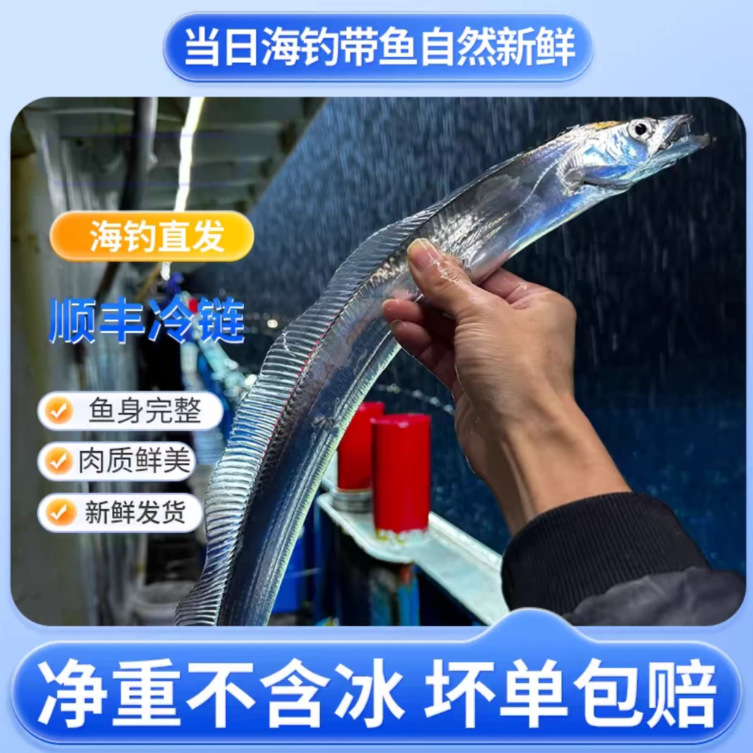 码头直发海钓带鱼到手10条8送2到手10条海钓带鱼小眼睛海鲜现钓