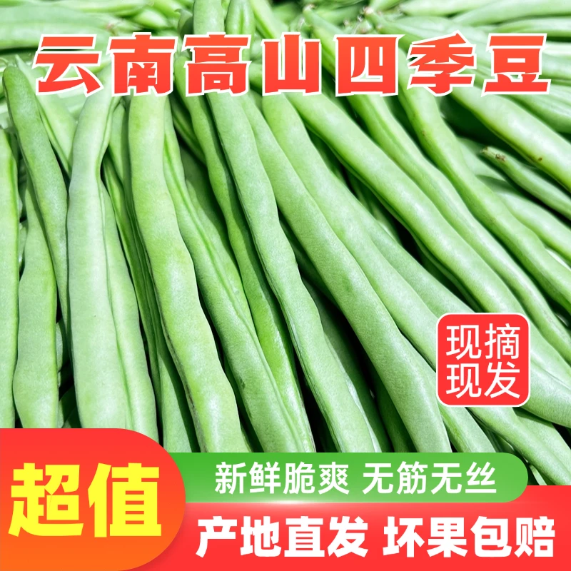 【云南新鲜四季豆】新鲜采摘豆角芸豆新鲜无筋豆长豆角1斤3斤5斤9斤