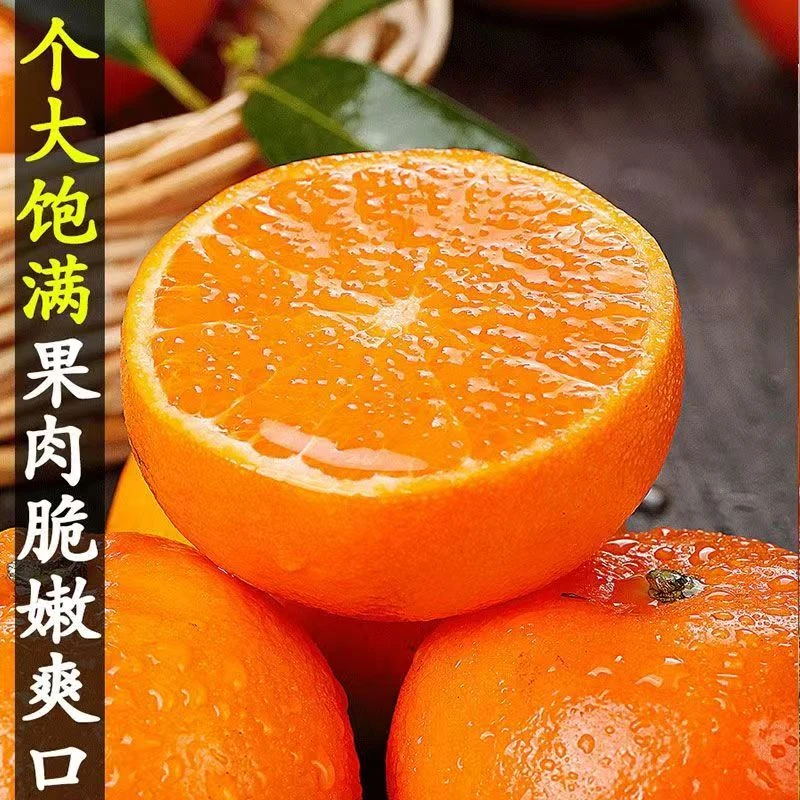 广西武鸣沃柑现摘新鲜水果砂糖橘皮薄纯甜无酸多汁爽口