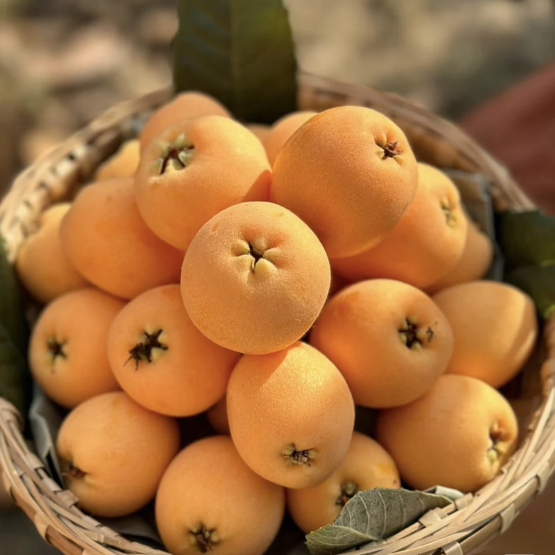 【闪送到家】云南［五星枇杷］香味浓郁，口感微酸清甜（30元一斤）