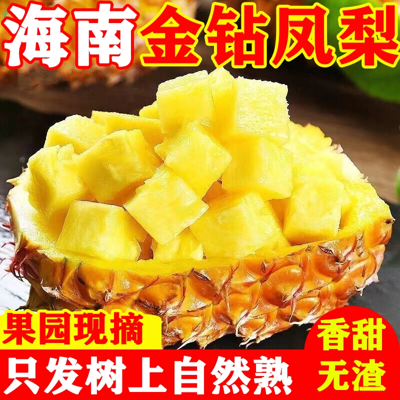 【海南直发】正宗海南金钻凤梨果园直发纯甜多汁不泡盐水削皮即食