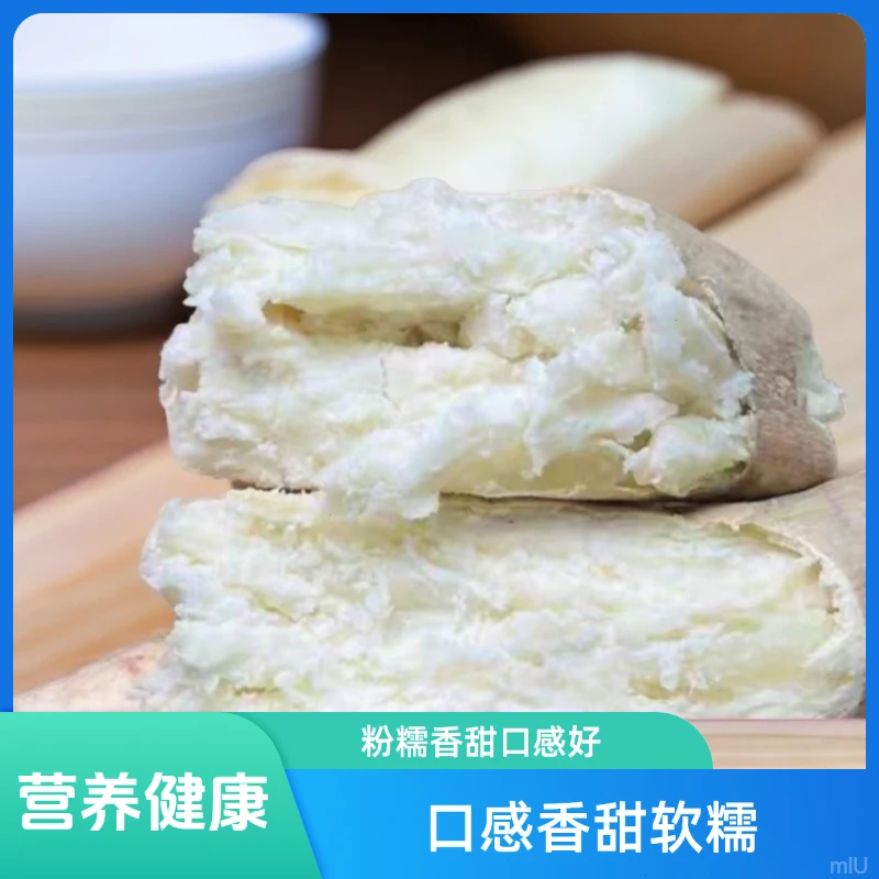 牛奶人参薯红薯新鲜白皮香甜皮薄健康种植生态肉厚美味牛奶薯