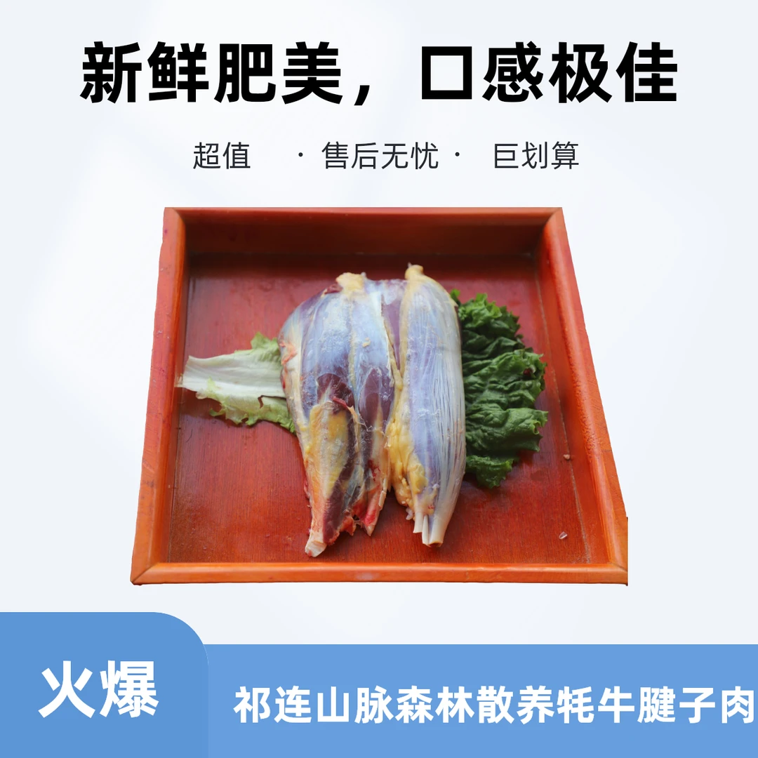 门源白牦牛【腱子】纯草膘鲜肉青藏高原祁连山脉森林草原散养牦牛肉